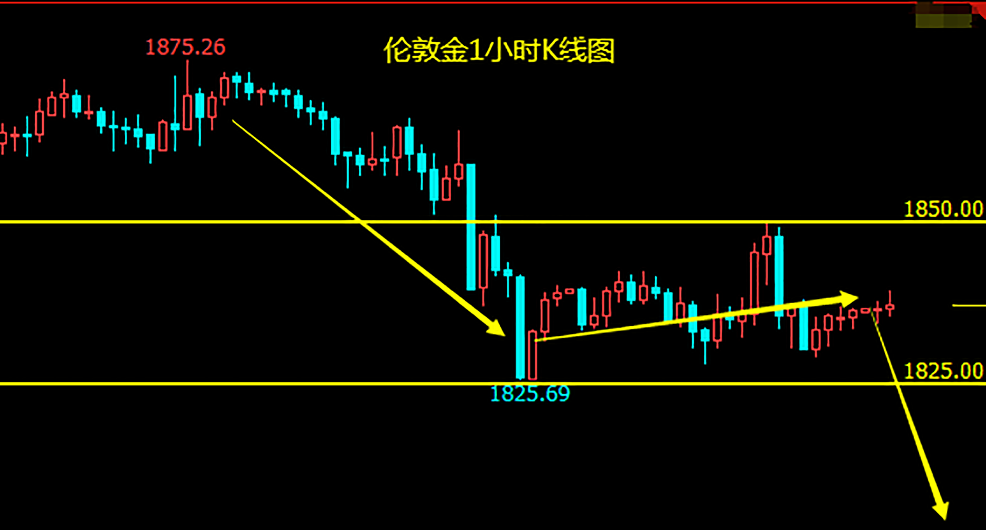 欧央行加码量化宽松 黄金不改下行趋势.png