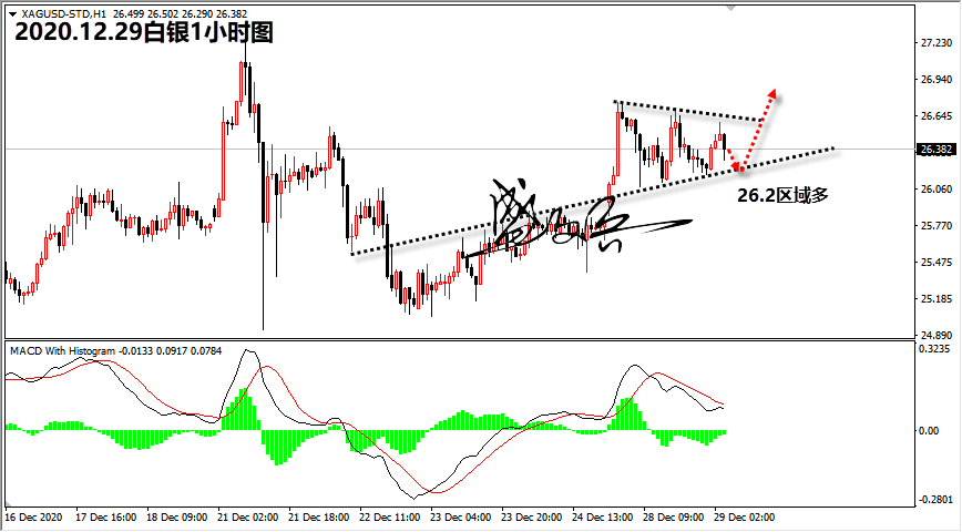 1609211276995800.png 12.29白银无.png