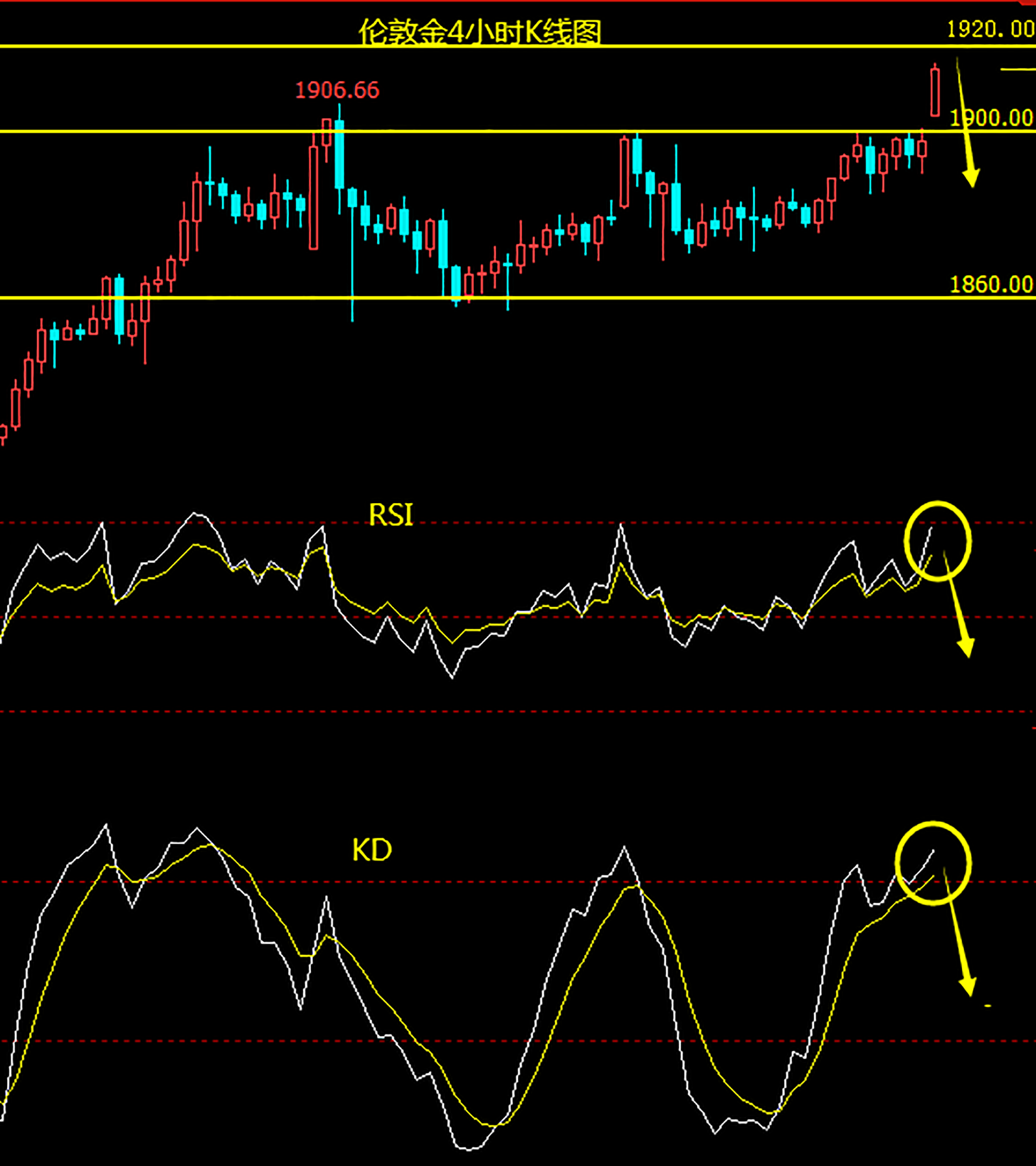 黄金上行动能或不可持续 警惕日内黄金冲高回落.png