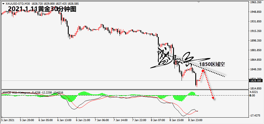 1610334300109490.png 1.11黄金无.png