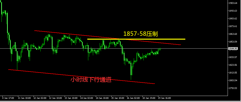 1611054997235089.png 黄金.png