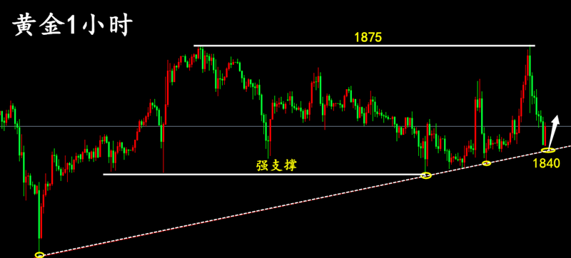 1612013005263917.png 1.png