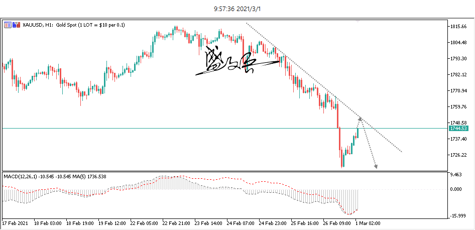 1614571464825984.png 1.png