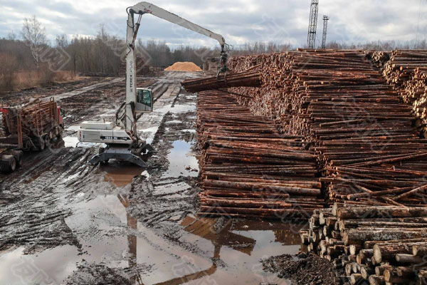 木材价格飙升了232% 可能会在未来几个月失控 木材价格飙升了232% 可能会在未来几个月失控