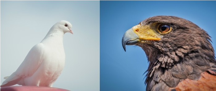 美国GDP数据亮眼，但就业状况仍不佳