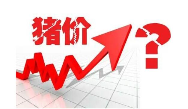 发改委：及时开展储备调节 促进生猪市场平稳运行