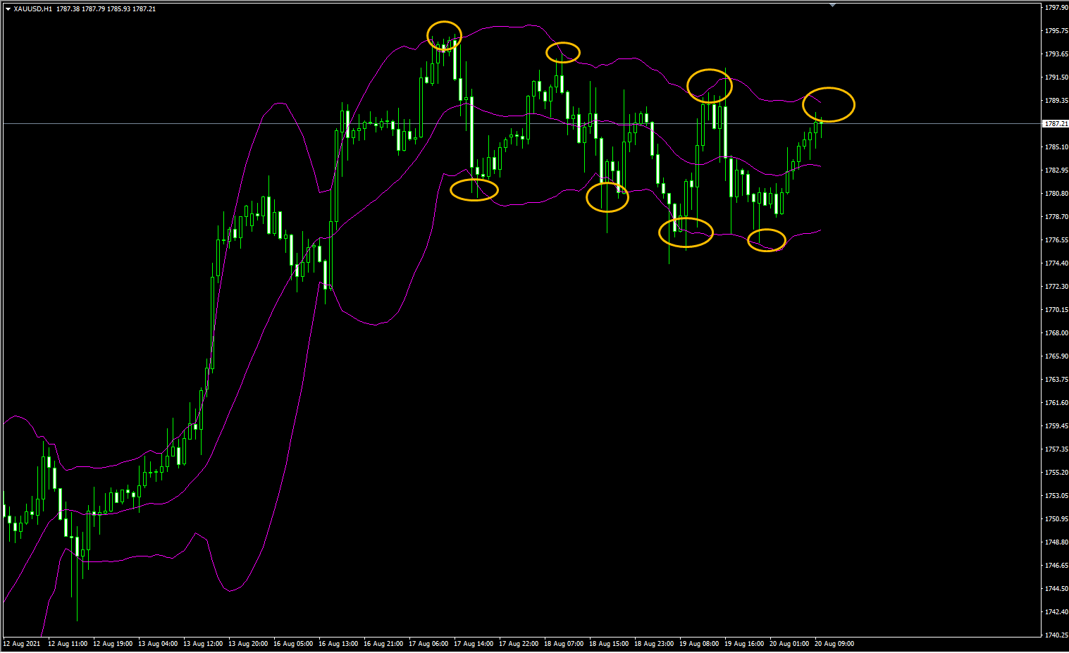 1629446543385130.png 8.20.2.png