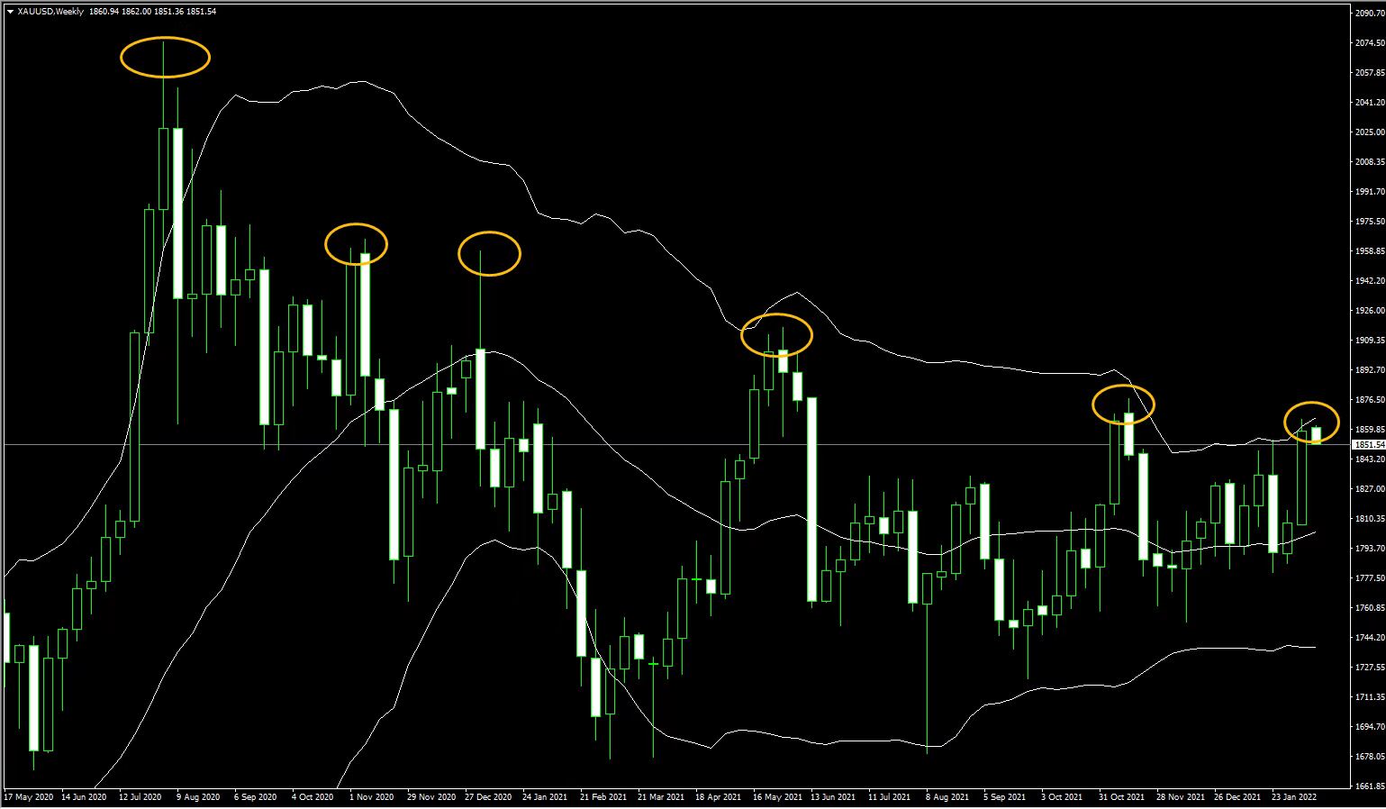 1644816197147586.jpg 2.14.1.jpg