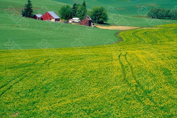 统计局：稻谷、小麦两个口粮品种连续多年产大于需 有少量进口主要是品种调剂