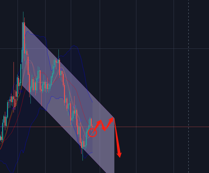 1653537788647359.png ****截图_20190604201125.png