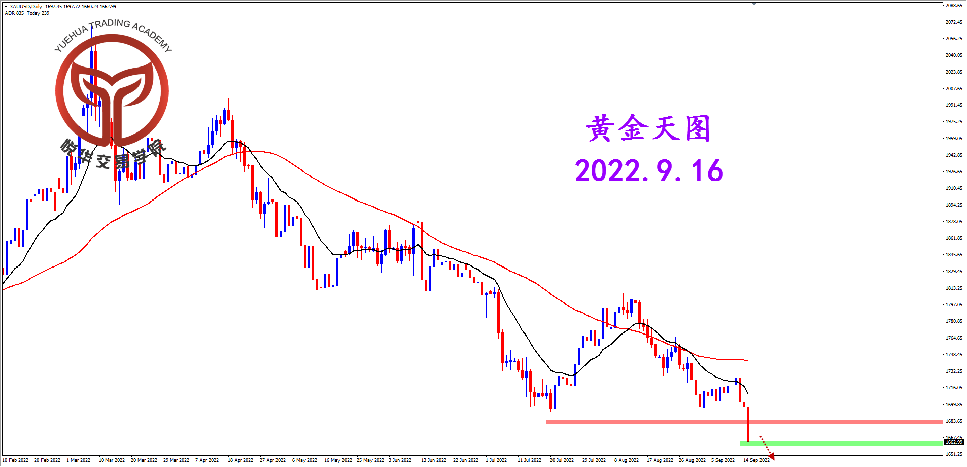 1663282948241495.png 2022-9-16 星期五 6-37-44黄金天图.png