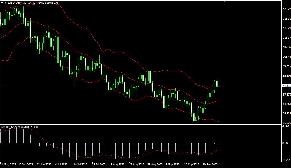 1665458483208092.jpg 4.jpg