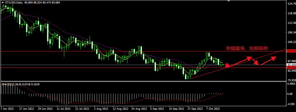 1666059259510010.jpg 4.jpg