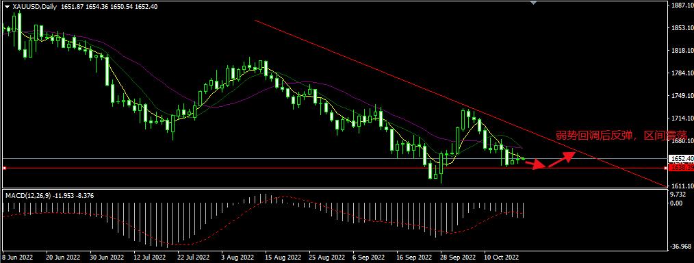 1666147084853121.jpg 3.jpg