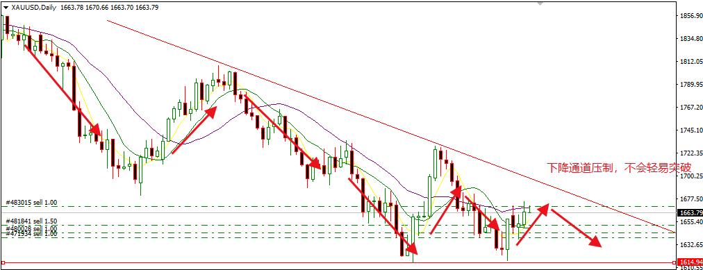 1666841495259298.jpg 3.jpg