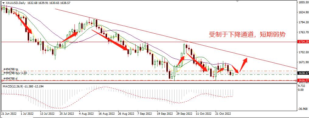 1667285617723797.jpg 3.jpg