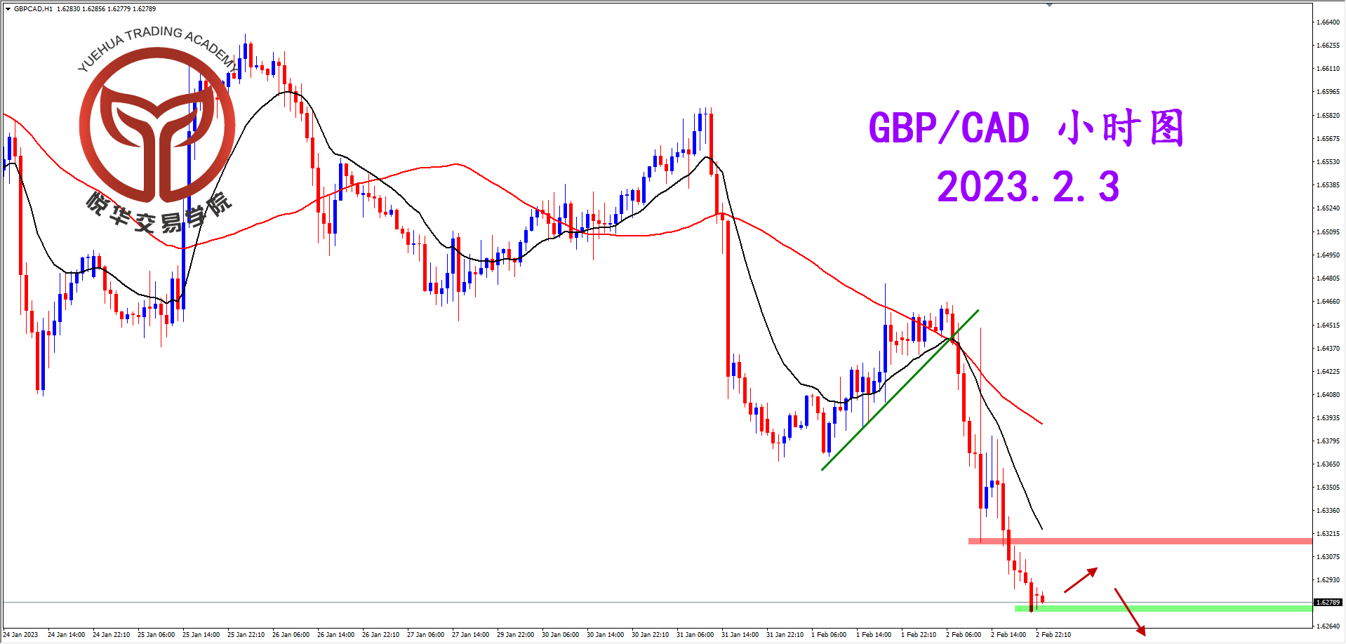 2023-2-3 星期五 7-28-42镑加小时图.png