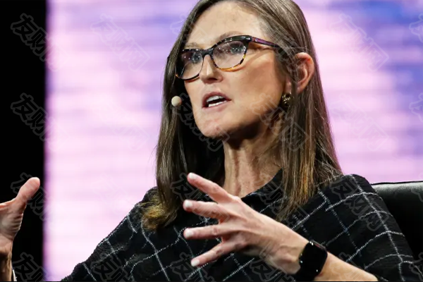 方舟投资公司的凯西·伍德表示 她会持有特斯拉股票10年