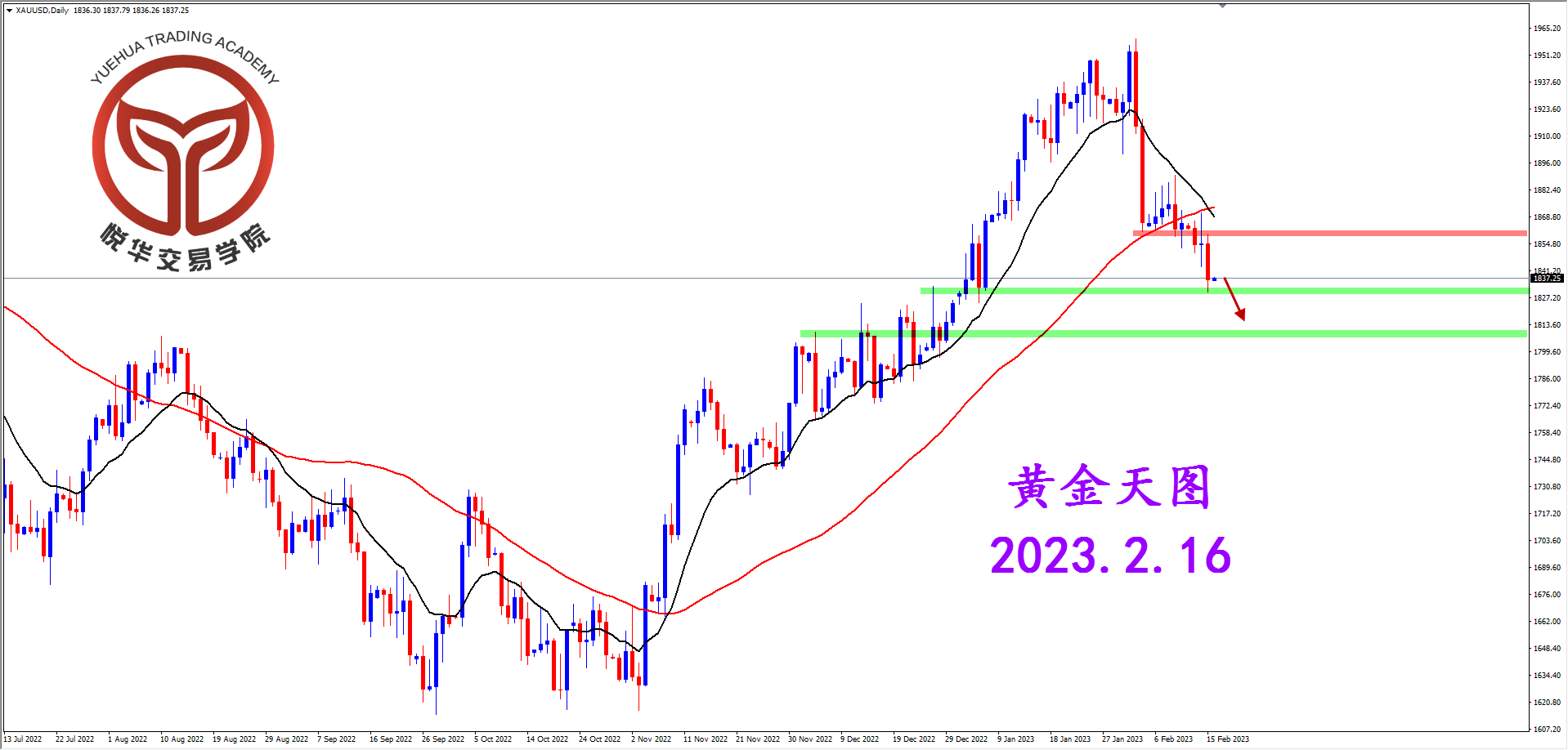 2023-2-16 星期四 8-10-43黄金天图.png
