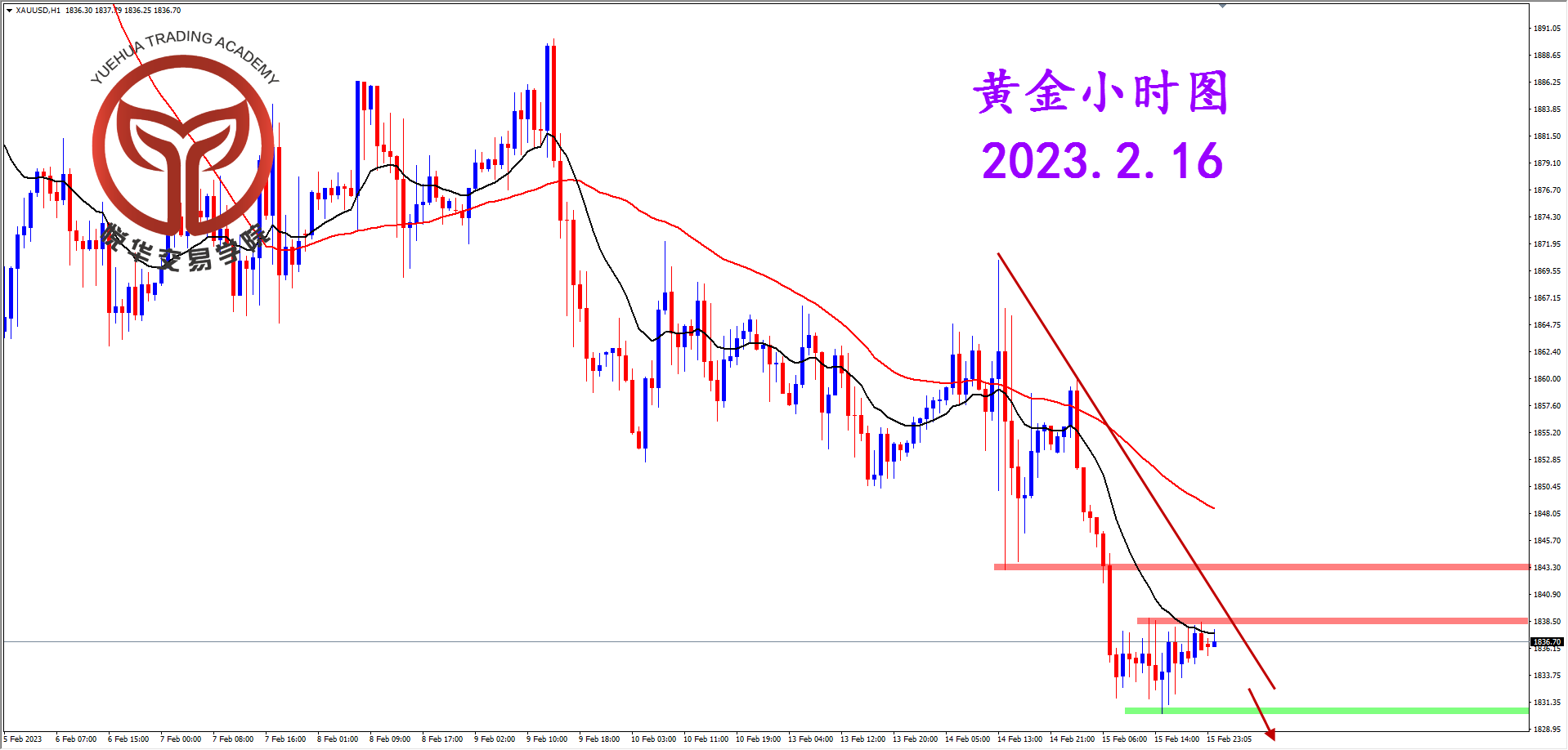 2023-2-16 星期四 8-26-21黄金小时图.png