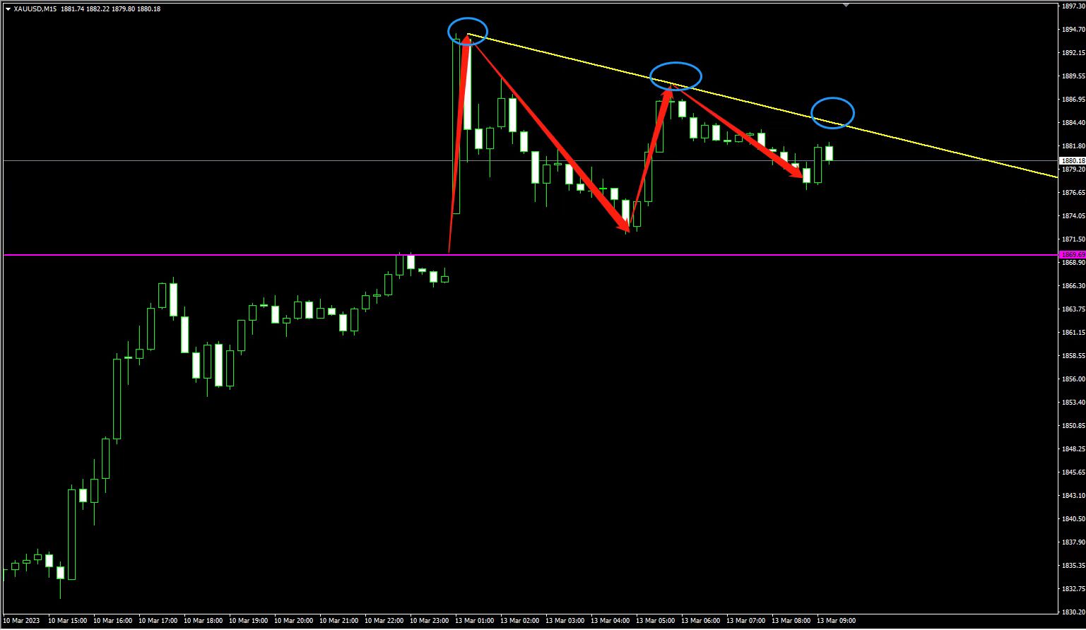 1678691206982230.jpg 3.13.2.jpg