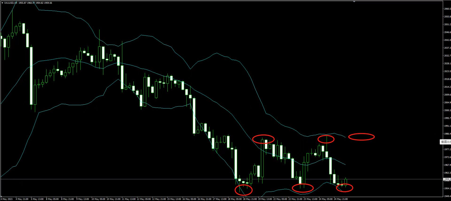 1685000322965498.jpg 5.25.1.jpg