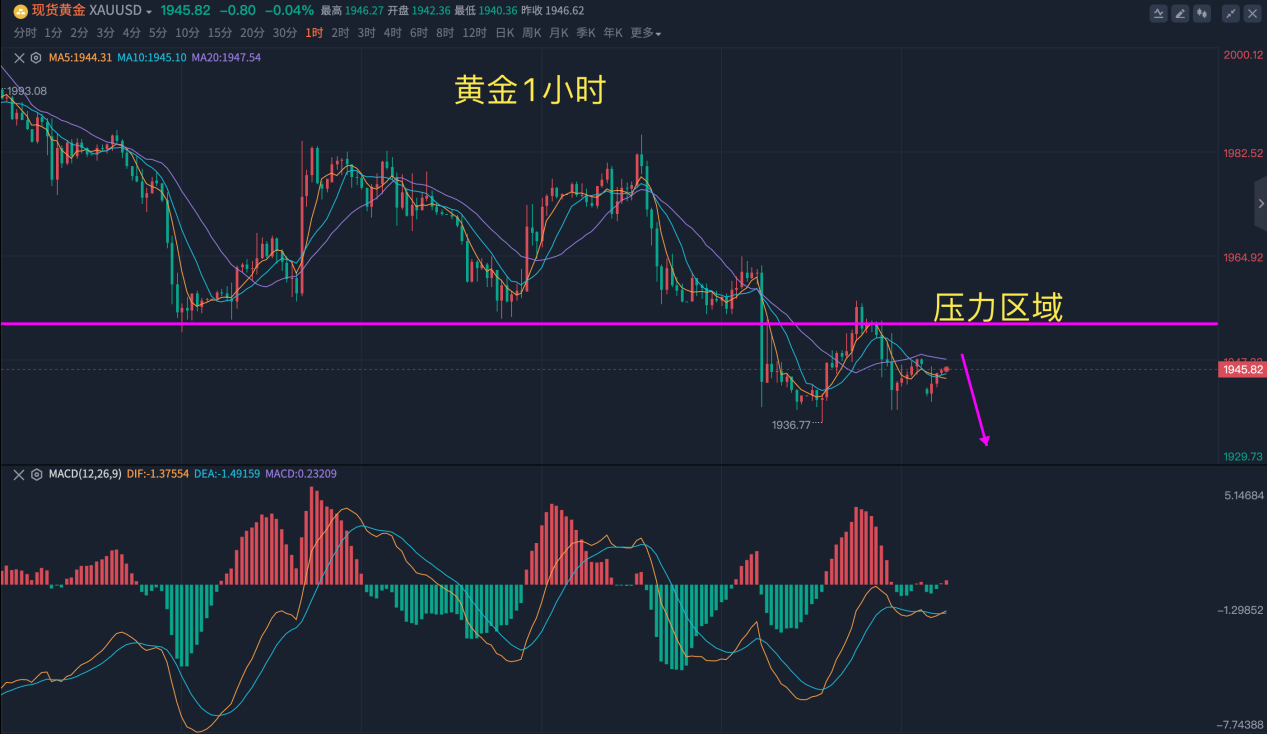 1685339823434577.png 01.png