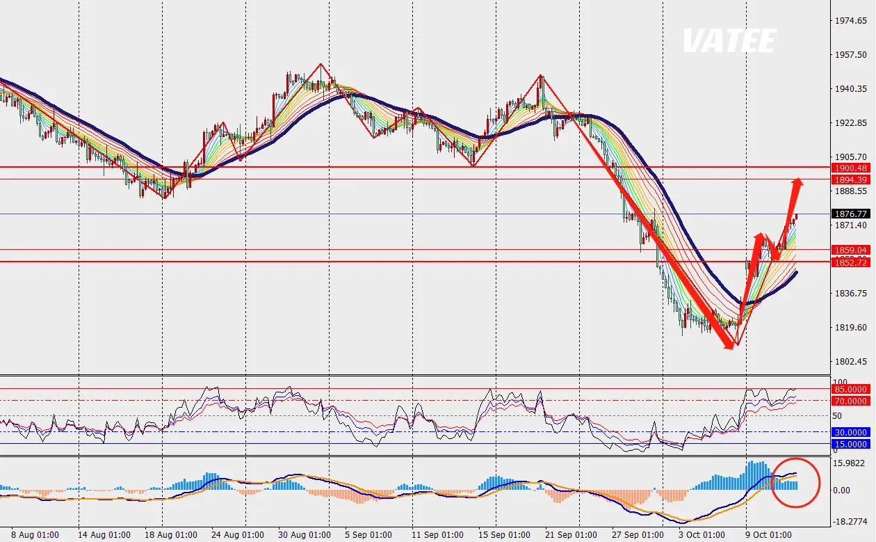 1697198155391503.png 5.png