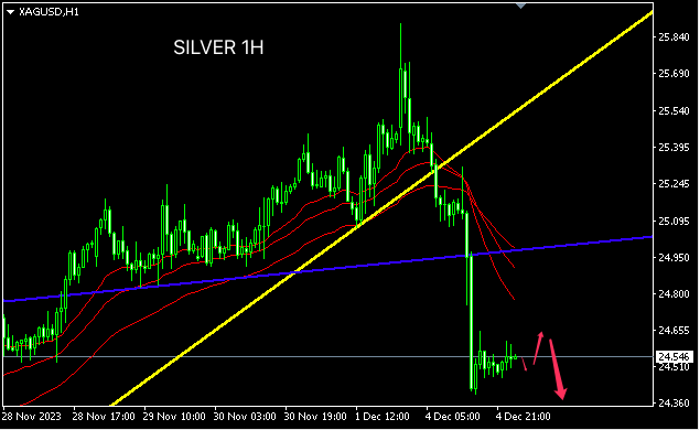 1701741874374443.png silver.png