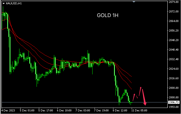 1702271736559340.png GOLD.png