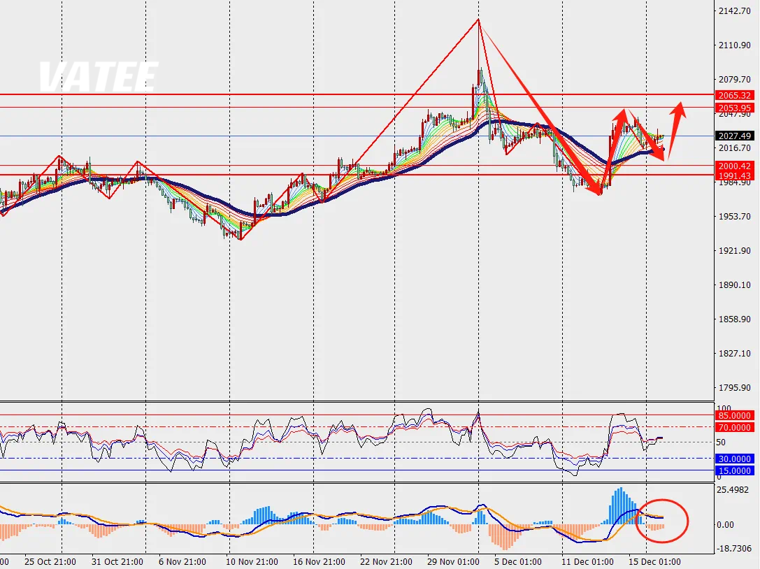 1703051271513513.png 黄金4.png