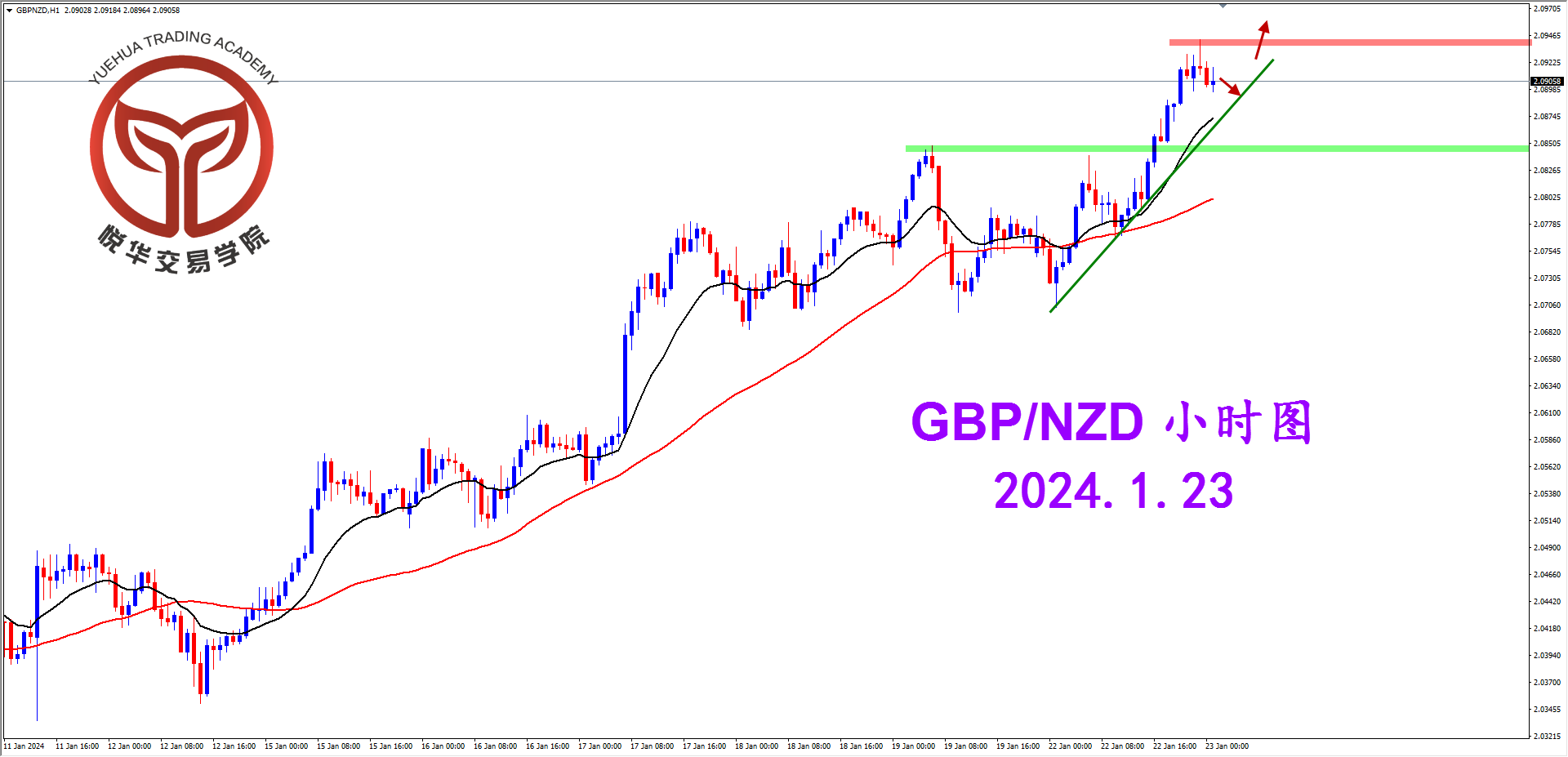 2024-1-23 星期二 9-23-30镑纽小时图.png