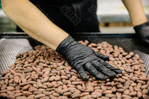 可可价格暴跌19% 回吐了创纪录涨幅的一大部分 可可价格暴跌19% 回吐了创纪录涨幅的一大部分