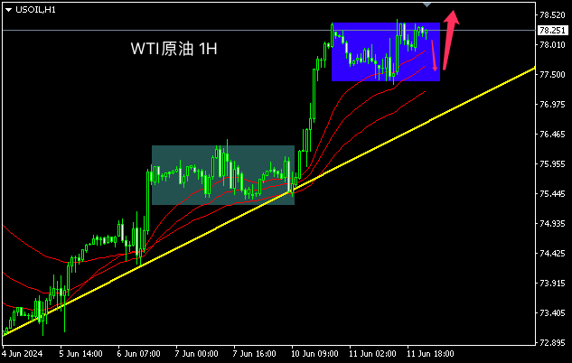 1718152479557903.png oil.png