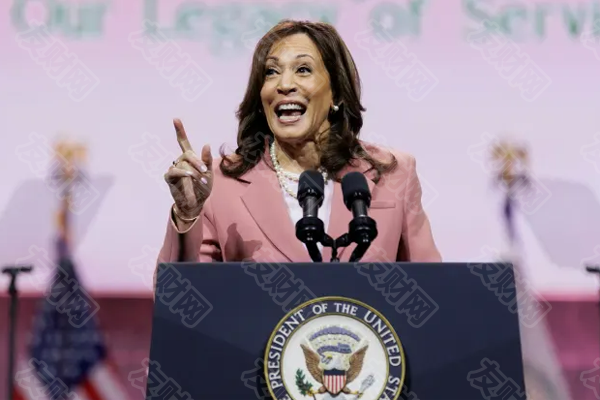 卡玛拉·哈里斯的出身反映了美国人口结构的变化 卡玛拉·哈里斯的出身反映了美国人口结构的变化