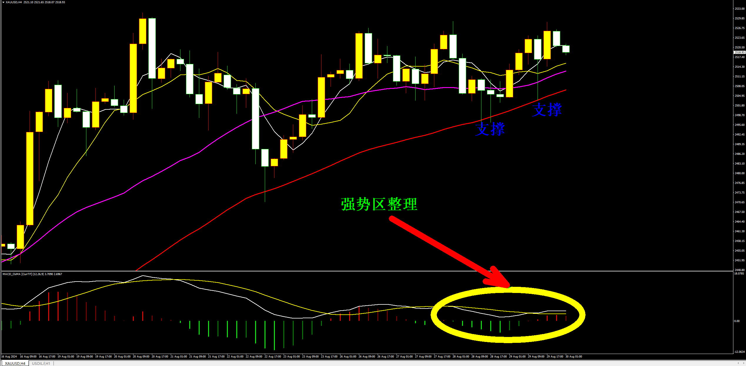 1724981154548572.png 1724978281321127.png