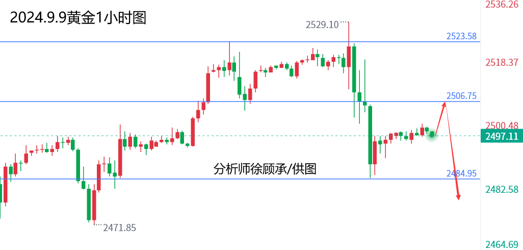 1725861431224306.png 9.9黄金.png