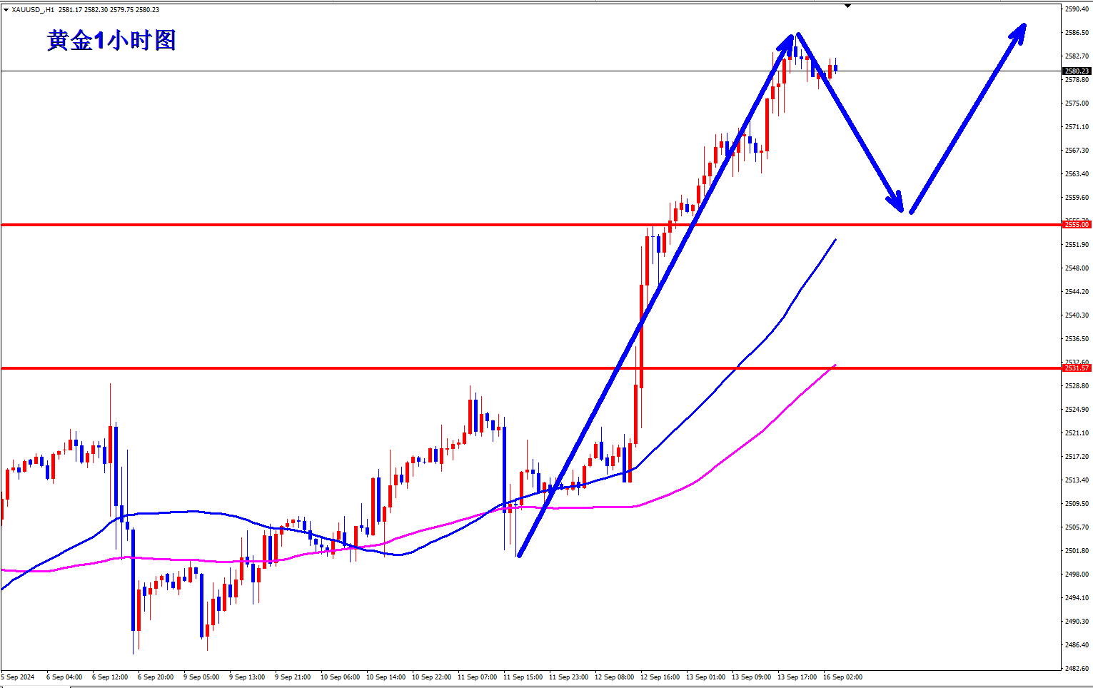 1726453353320511.png 1726449635380912.png