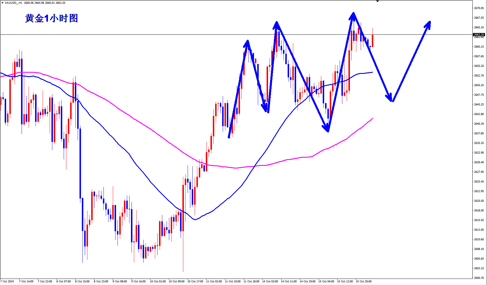 1729048990992549.png 1729042002989112.png