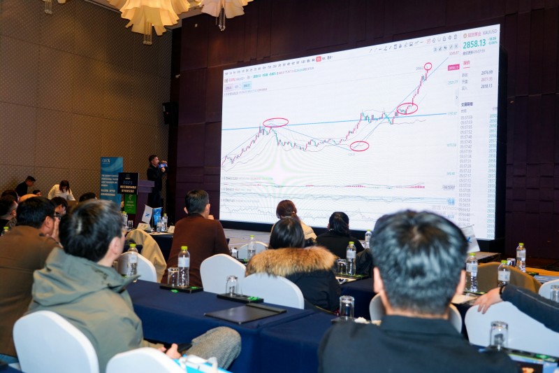 交易者同盟会2025浅谈交易暨百城联动线下技术交流会●青岛站取得圆满成功！