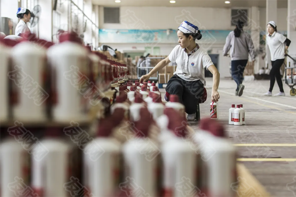 贵州茅台成股息投资标的 股息率超过农行