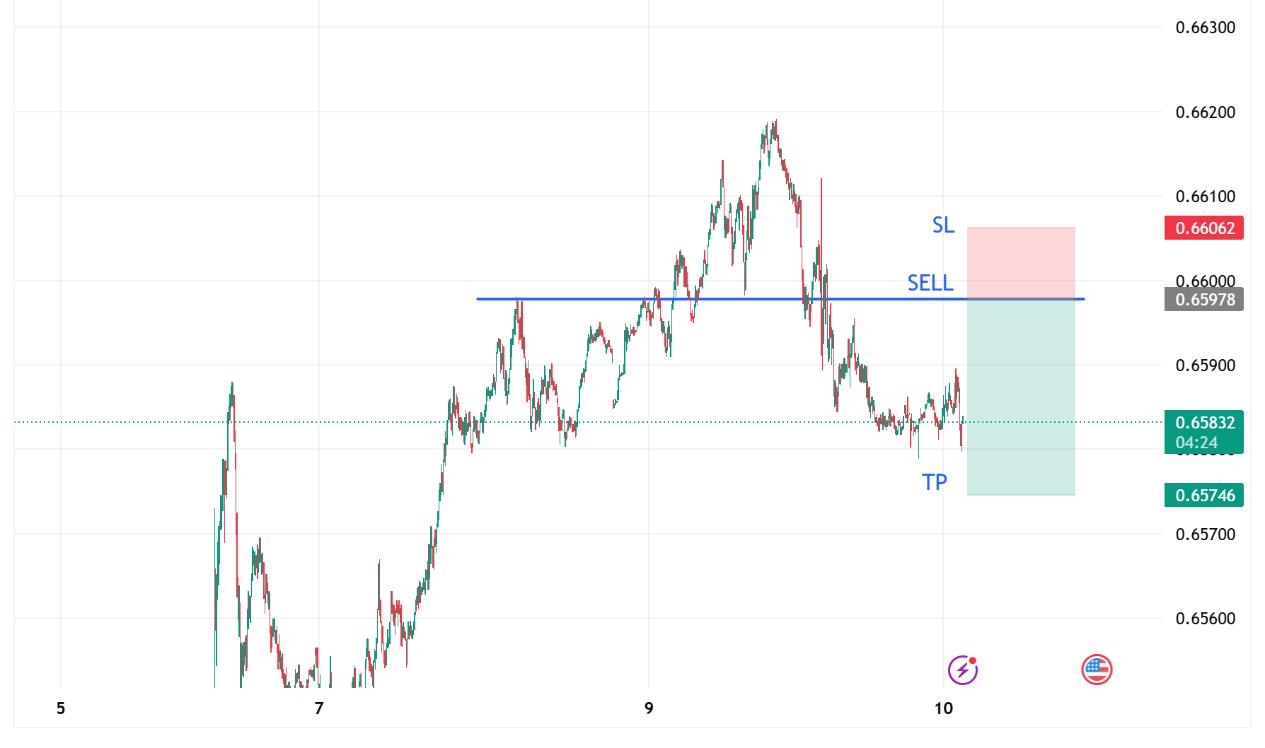 1757483777543271.jpg Picture5.jpg