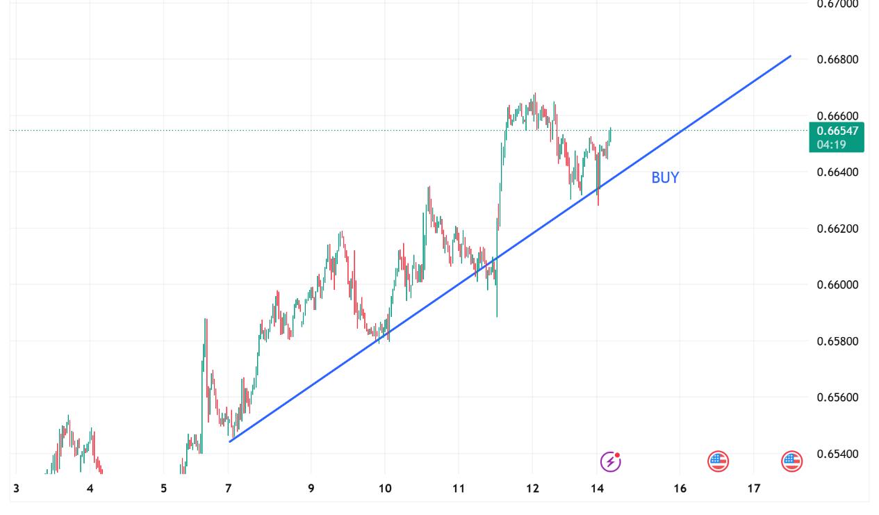 1757915869313669.jpg Picture5.jpg