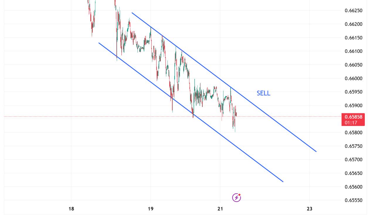 1758508471383182.jpg Picture5.jpg