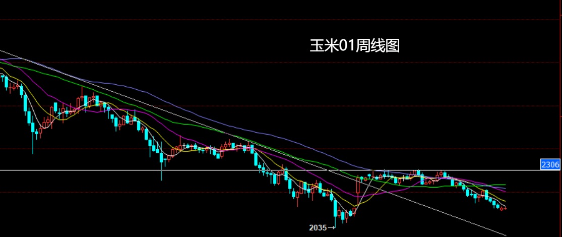 玉米.jpg