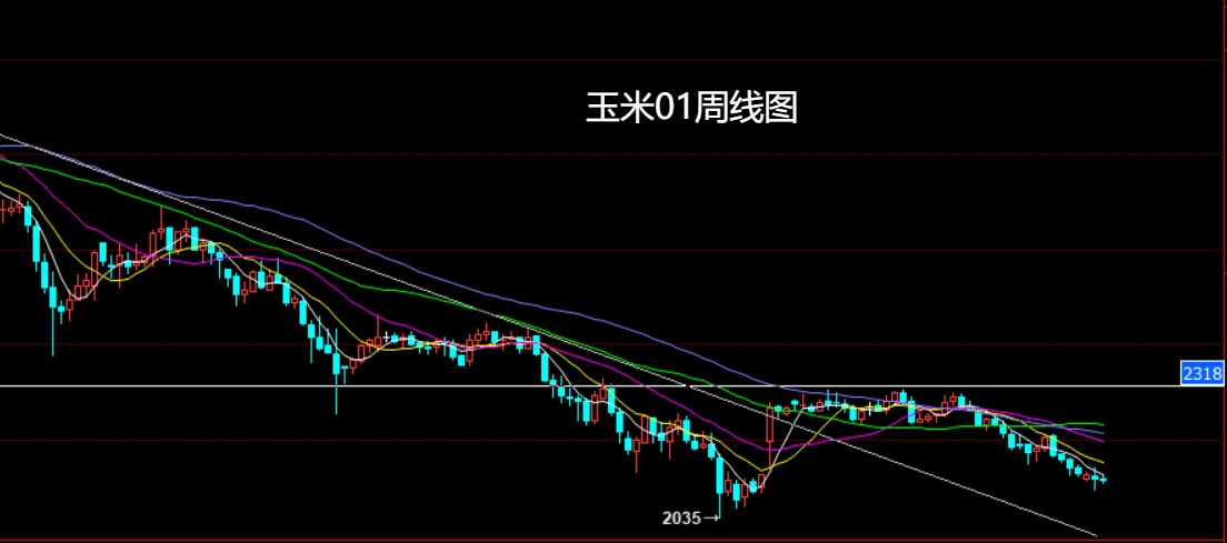 玉米.jpg