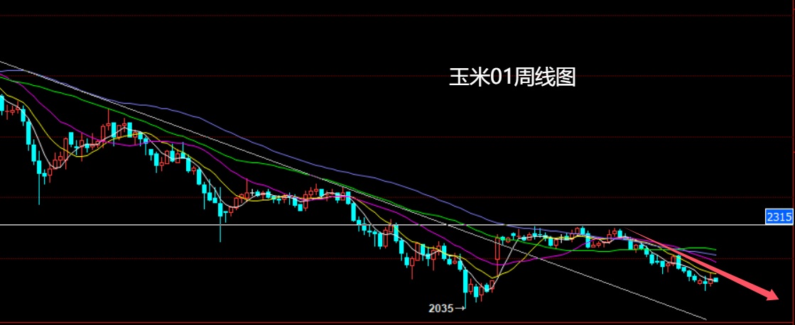 1761356630314791.jpg 玉米.jpg