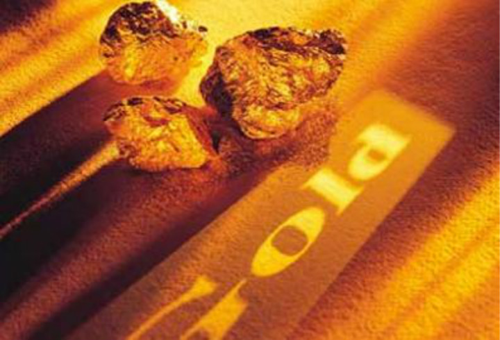 1762158614908155.jpg 1 (125).jpg