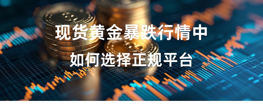 1762499754412444.jpg 19.jpg