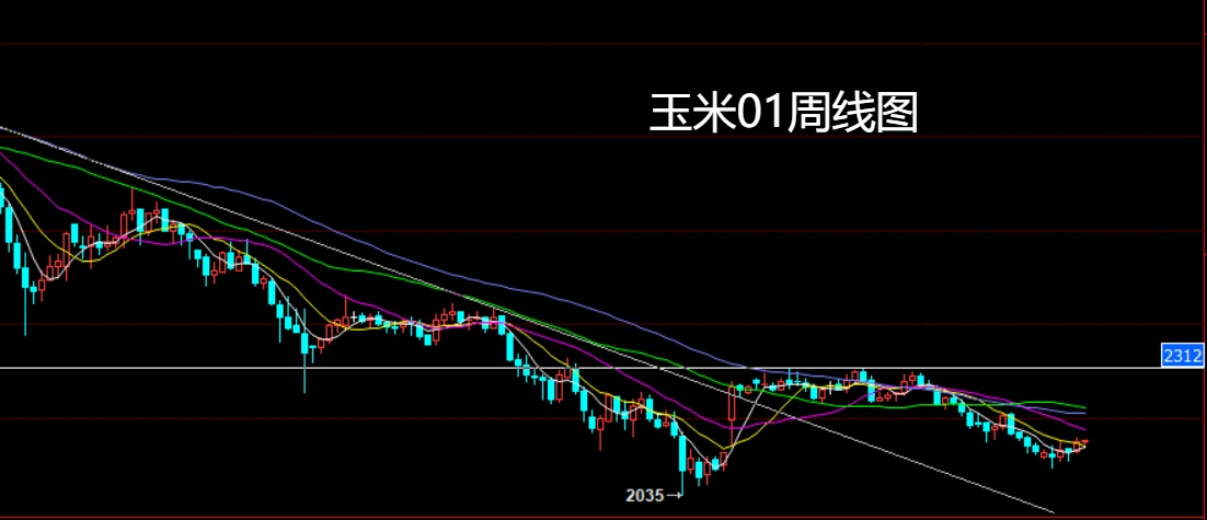 1762651342317955.jpg 玉米.jpg